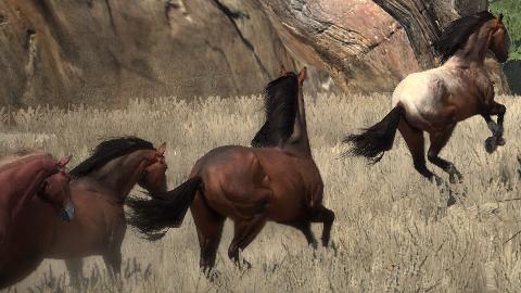 Cavalos no GTA V