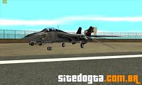 Grumman F-14D Supertomcat